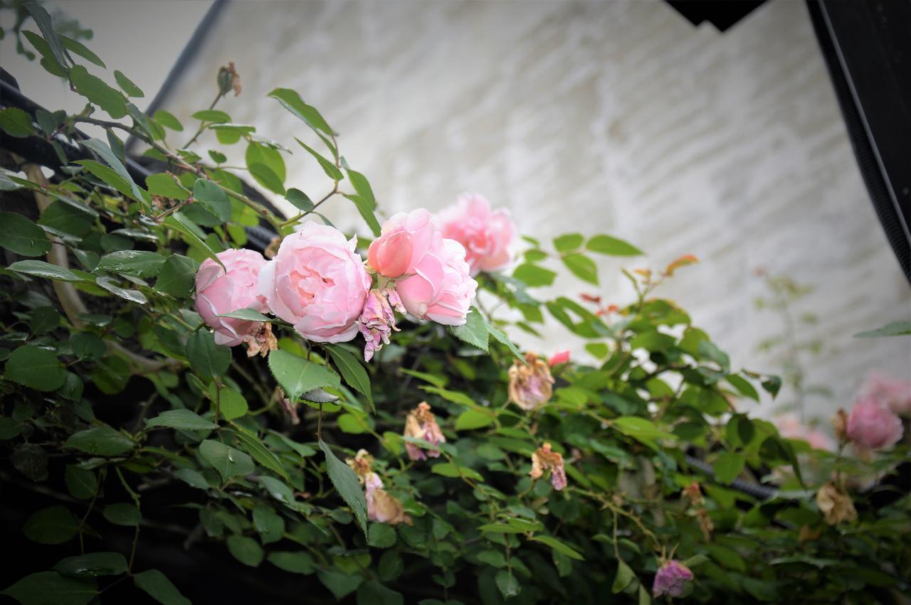 Zuo Wang Zhai Guesthouse Suzhou  Luaran gambar